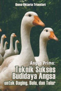 Angsa Prima: Teknik Sukses Budidaya Angsa untuk Daging, Bulu, dan Telur