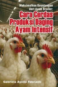 Maksimalkan Keuntungan dari Ayam Broiler: Cara Cerdas Produksi Daging Ayam Intensif