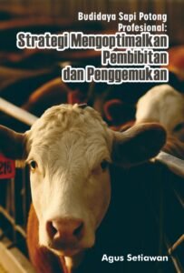 Budidaya Sapi PotongProfesional: Strategi Mengoptimalkan Pembibitan dan Penggemukan