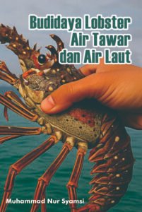 Budidaya Lobster air tawar dan air laut